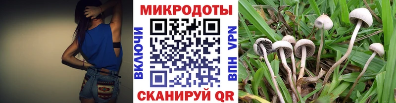 Галлюциногенные грибы Psilocybine cubensis  Нижневартовск 